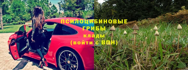 соль ск Аркадак