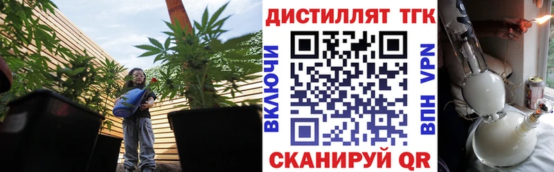 ТГК концентрат  Купить где  Меленки 