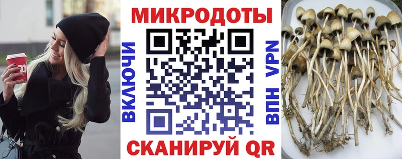 Купить закладки  Меленки  Галлюциногенные грибы Cubensis 